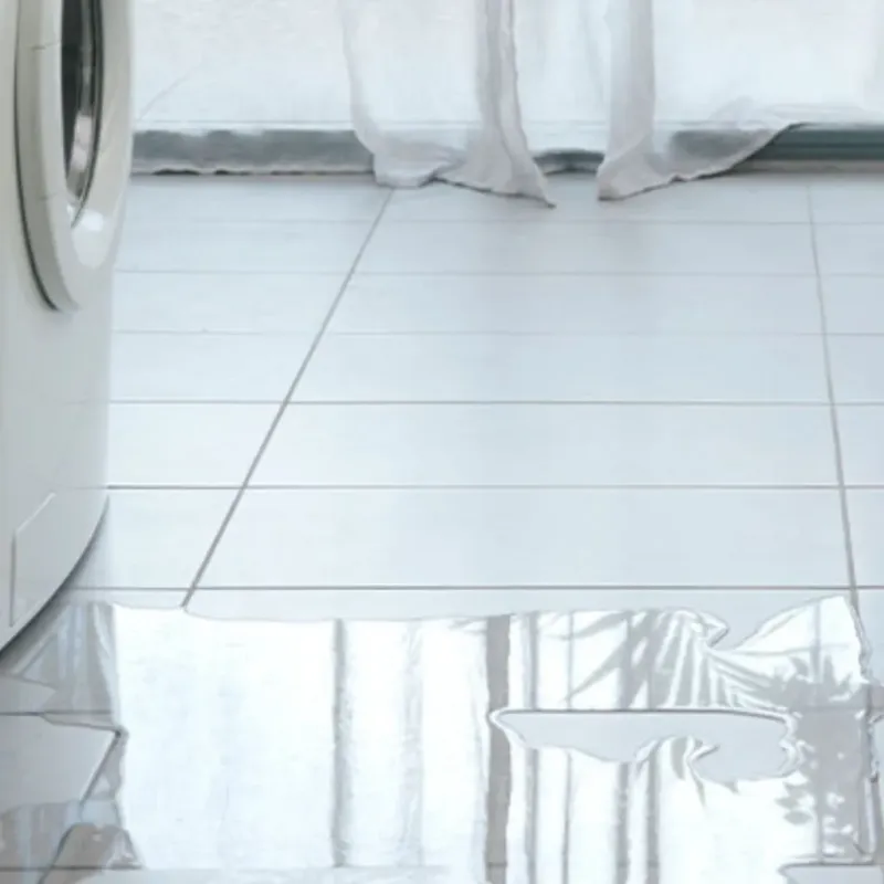 Appliance Leak Cleanup in Stoughton, WI