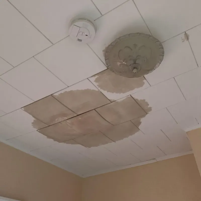 Ceiling Water Damage Repair in Stoughton, WI