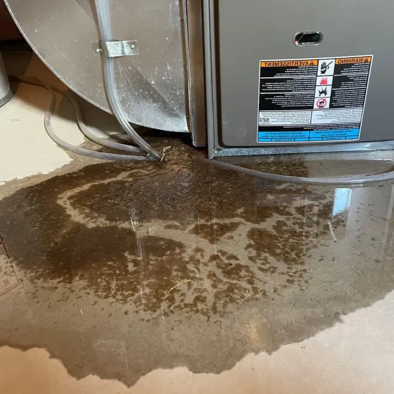 Pipe Burst and Leak Restoration in Stoughton, WI